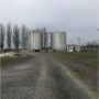 oil5